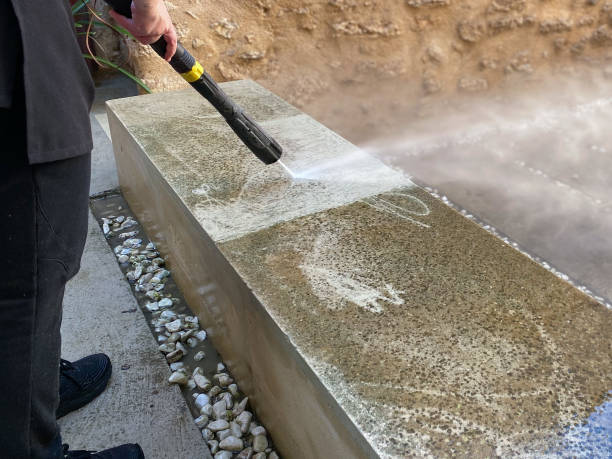 Best Roof Pressure Washing  in Moroni, UT